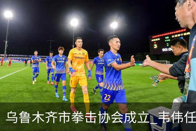 乌鲁木齐市拳击协会成立 韦伟任会长